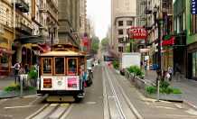 旧金山私人导游订制您专属的旅游路线