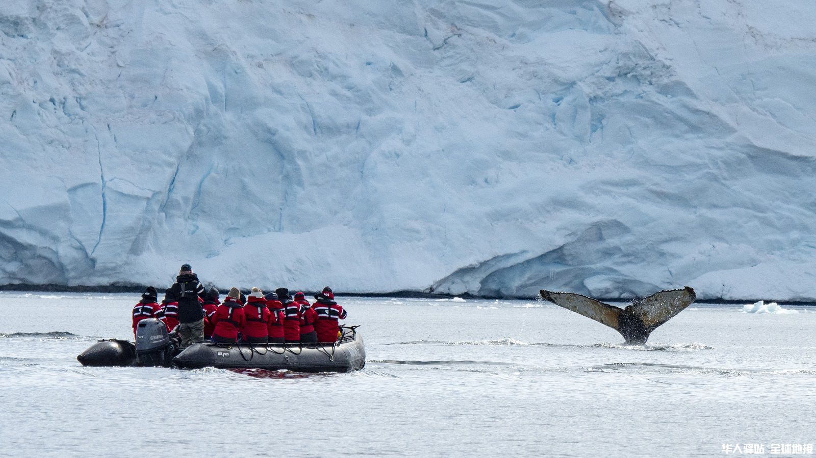 104478_People_Zodiac-Cruising-Humpback-Whales-Peltier-Channel.jpg