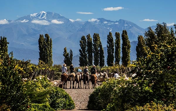 2024-TM-Argentina-Cultural-Natural-Wonders-Mendoza-Horses-2.jpg